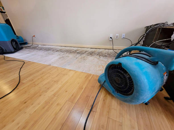 Professional Basement Flood Cleanup technician working in Friendship, TN